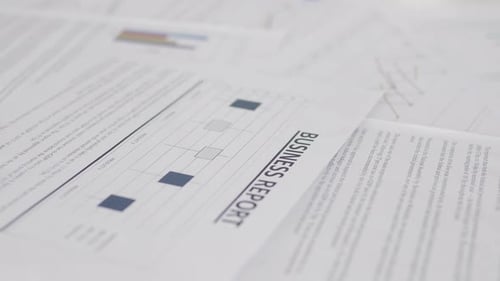 Business Report