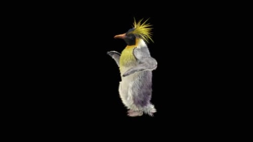 Animated Furry Penguin Character Dancing
