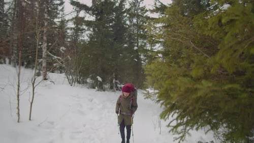 Tourist Hiking in Woods on Winter Day