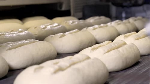 Making a Loaf of Bread in the Bakery. Loaf of Bread on the Production Line in the Baking Industry