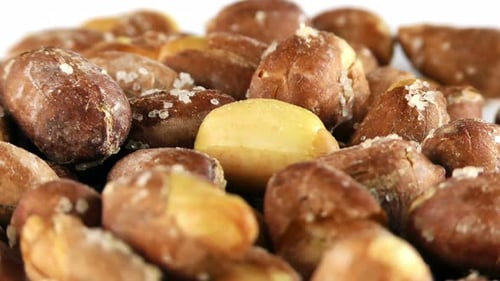 Peanut Macro View