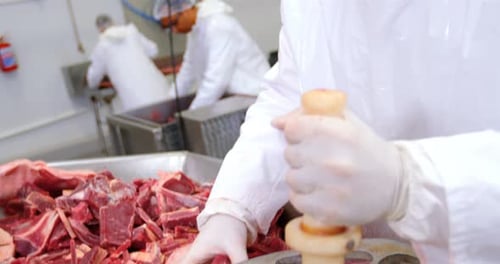 Meat Processing at Food Factory