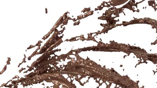 Chocolate Splash on White Background Animation
