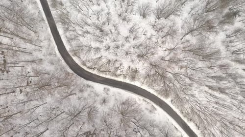Ascending over the road in the woods 4K aerial video