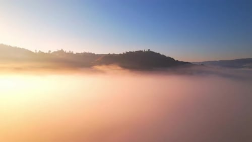 Tranquil Fog Over Tropical Mountains at Sunrise