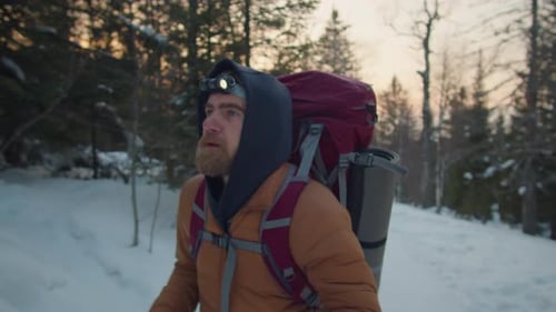 Bearded Hiker Walking through Woods in Evening