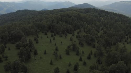 Green forest and valley on mountains of Manzherok under blue sky