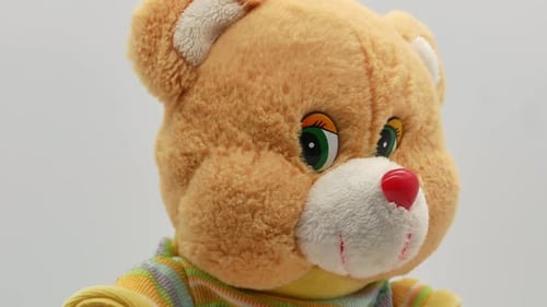 Teddybär auf weißem Hintergrund