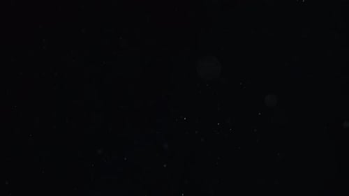 Twinkling Dust Particles on Black Abstract Background