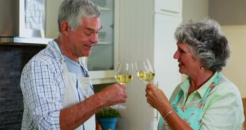 Senior Couple Toasting Wine in Bright Kitchen