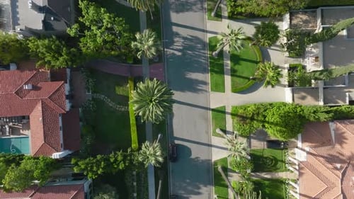 Birdseye View over Iconic Beverly Hills Palm Tree Lined Street