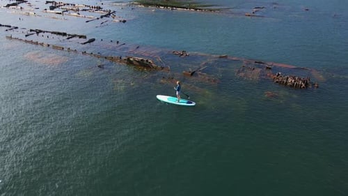 Aerial Shot