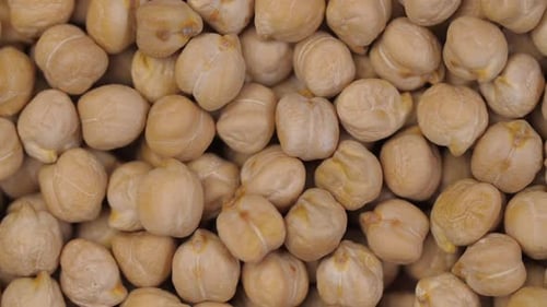 Close Up of Tan Chickpeas