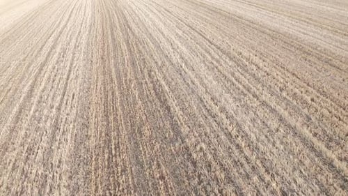 Aerial Drone Footage of a Dry Grass Field