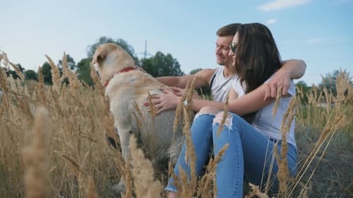 Young Couple Sitting on Grass at Meadow and Stroking His Labrador. Family Spends Time Together