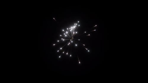 Colorful Fireworks