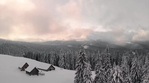 Winter Pine Forest and Cabin Hut at Sunrise