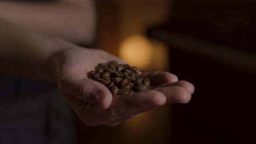 Hand Holding Pile of Coffee Beans, Close-Up