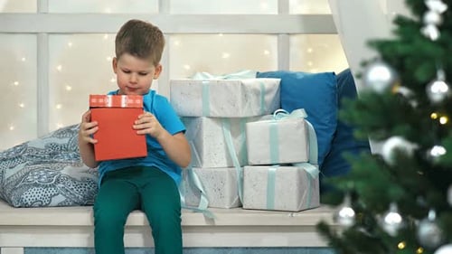 Boy Opening Christmas Present by Christmas Tree