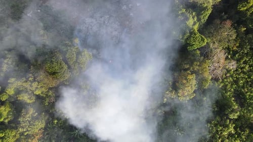 Aerial look down open burning near forest plantation