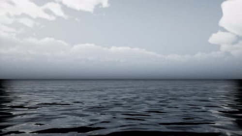 Morning Fog Over the Sea