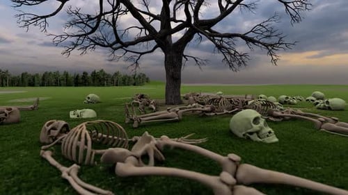 Mass Grave Human Remains