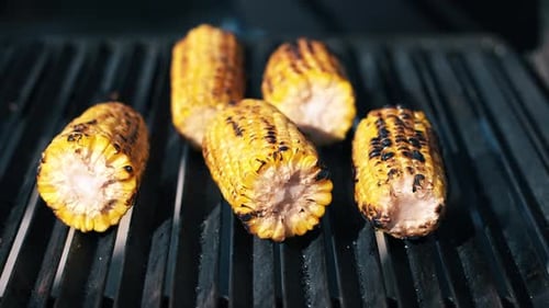 Frying corn cob on a grill, man rotating it. BBQ