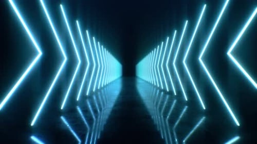 Loop Flying Along the Neon Arrows