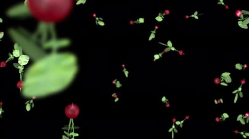 3D radish falls on black background
