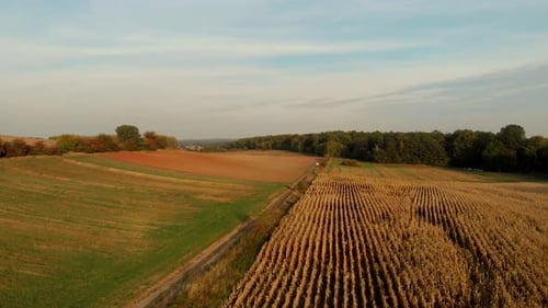 Flug über Felder bei Sonnenuntergang.