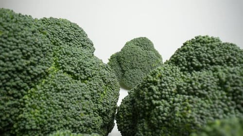 Fresh Green Broccoli 43