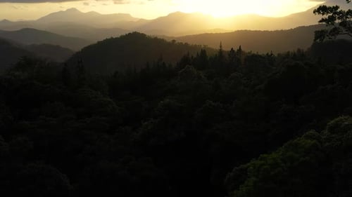 Jungle and Mountains at Sunset