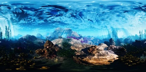 VR360 Bottom of the Ocean
