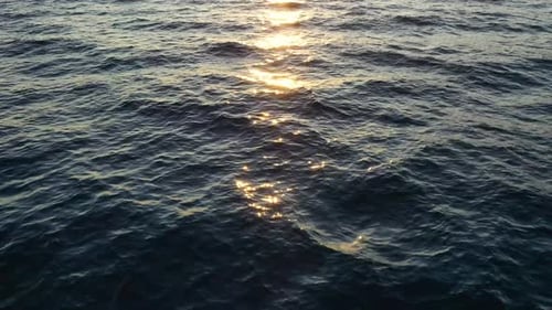 Auf der Meeresoberfläche fliegen. Seelandschaft bei Sonnenuntergang.