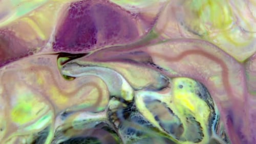 Abstract Paint Mixing and Swirling Colors