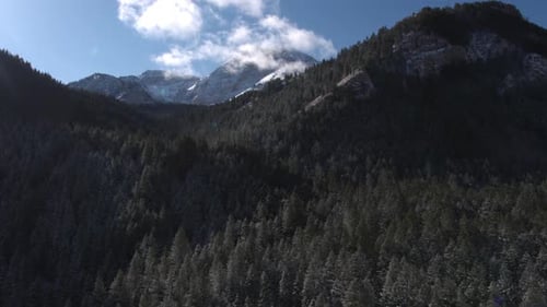 Flying over forest towards snow covered mountains