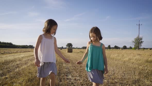 Two Charming Girls Are Walking on Mowed Rye in the Field , People Stock ...
