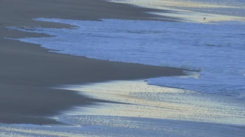 The shoreline and beach of the Pacific Ocean.
