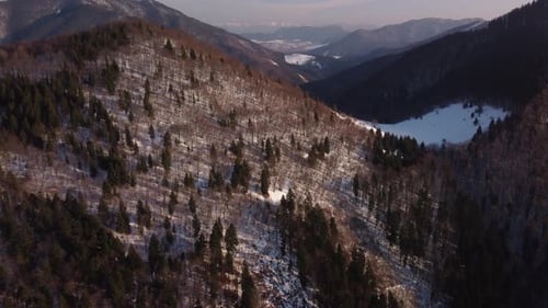 Aerial View of Mixed Winter Forest in Hilly Mountain Alpine Landscape