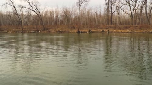 Beautiful scenic 4k video of the river with forest in the background.