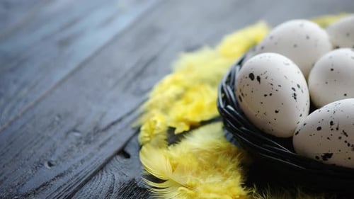 Whole Chicken Eggs in a Nest on a Black Rustic Wooden Background. Easter Symbols