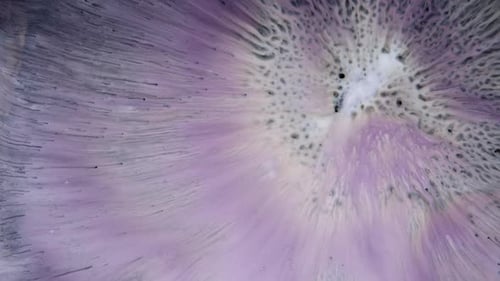 Abstract Fluid Art with Flowing Lilac and Gray Colors