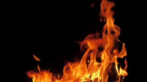 Burning Wood and Fire Flames, Close Up Tilt Up Slow Motion