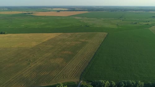 Drone Wide Shot Haystack and Harvesting Dry Grass Aerial Hay Bales at Field