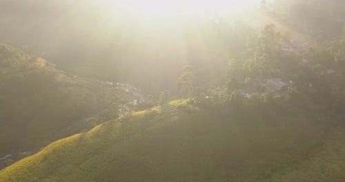 Aerial View of Hills with Tea Plantation Misty Morning in Sri Lanka.