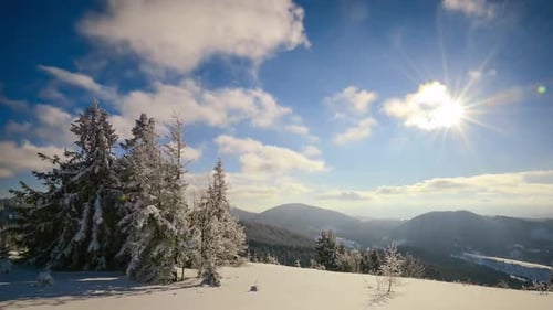 Eine starke Wintersonne