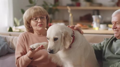 Senior Couple Sitting with Golden Retriever Dog Indoors