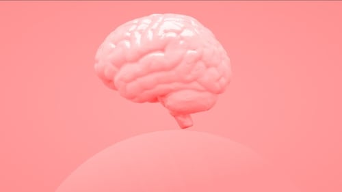 Pink Fluid Brain Dissolving Animation