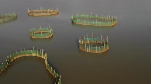 Flying over fishing nets on the coast of China