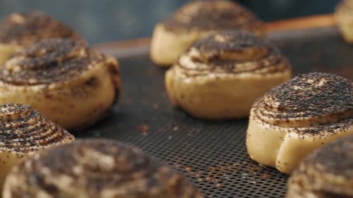 Spiral Buns with Poppy Seeds on Baking Sheet